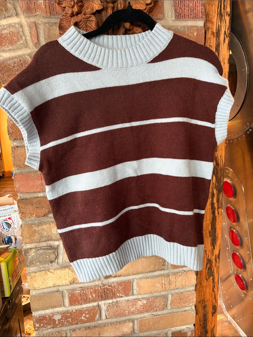 Striped Brown and Light Blue Knit Cap-Sleeve Sweater
